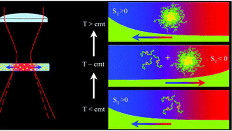 Thermophoresis in self-associating systems: probing poloxamer micellization by opto-thermal excitation