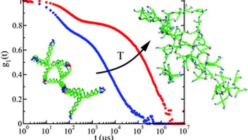 Hyperbranched DNA clusters