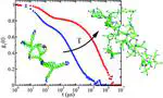 Hyperbranched DNA clusters